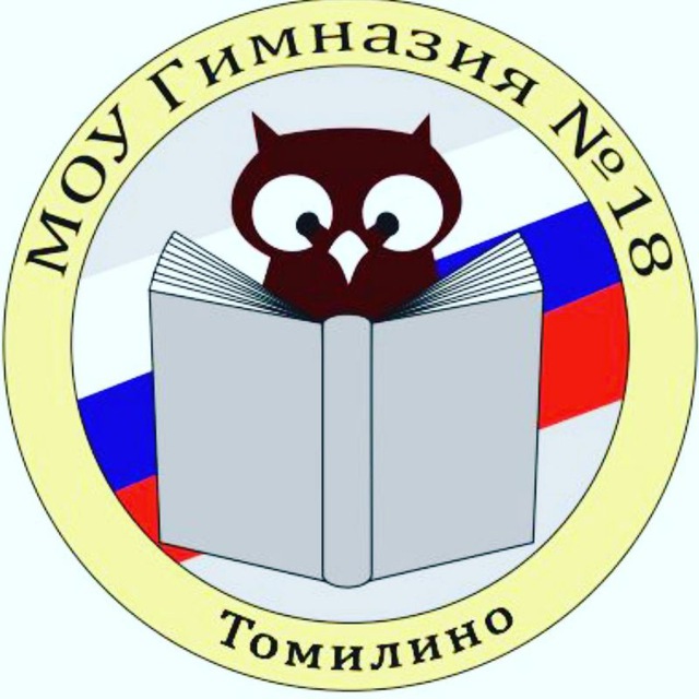 МОУ Гимназия 18