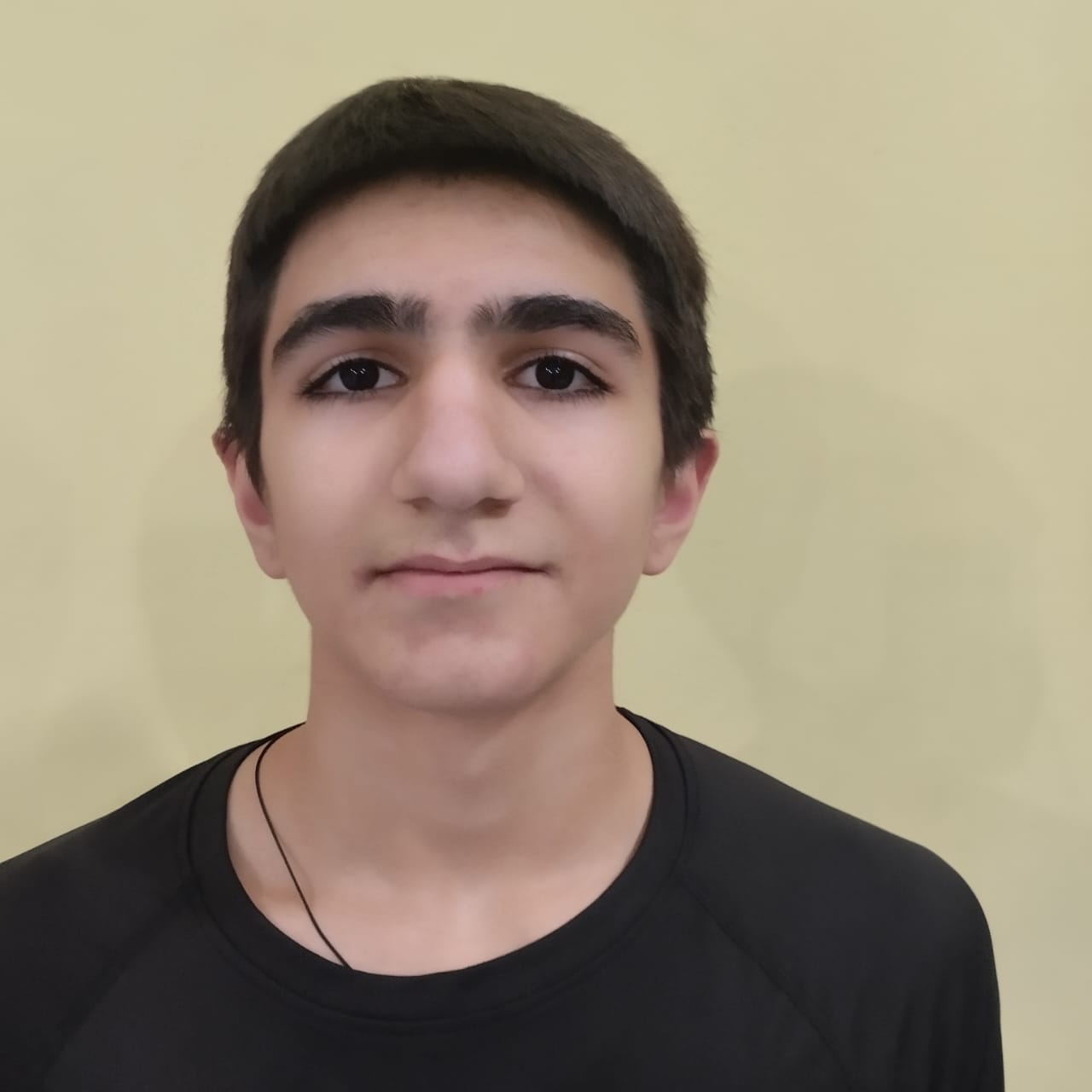 Палян Васил Гургенович