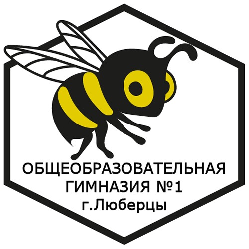 МОУ Гимназия 1 Люберцы